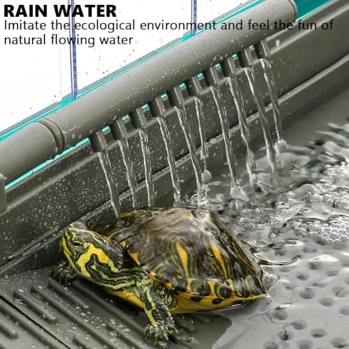 Akwarium Żółwie Akrylowe Pomarańcz Platforma