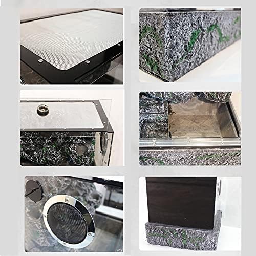 Terrarium Żółwie Tarasowe Las Deszczowy