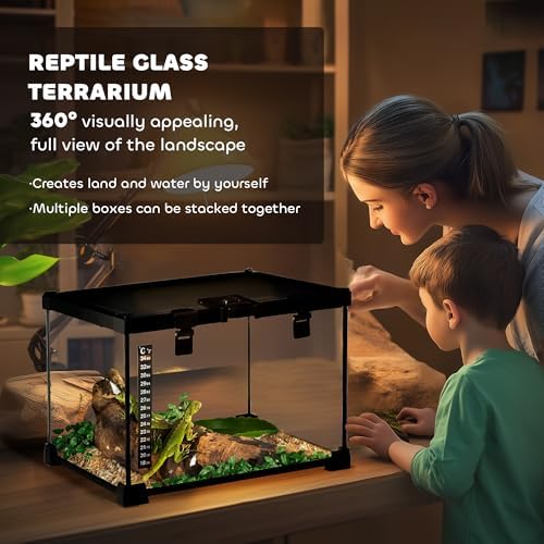 Terrarium Szklane Małe Jaszczurki Pająki 30cm