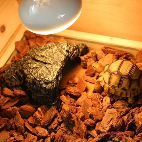 Dom Drewniany Kameleony Jaszczurki Zewnątrz