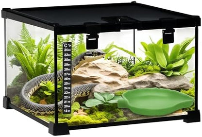 Terrarium Szklane Małe Jaszczurki Pająki 30cm