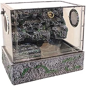 Terrarium Żółwie Tarasowe Las Deszczowy