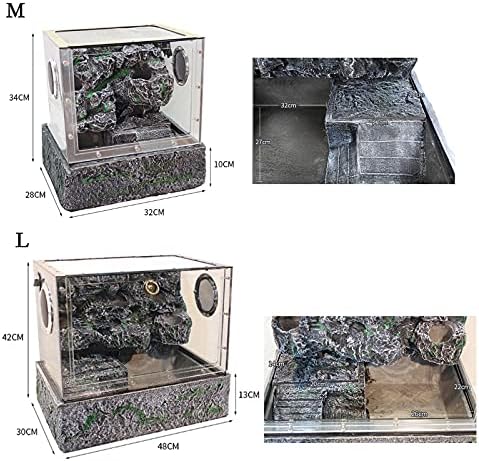 Terrarium Żółwie Tarasowe Las Deszczowy