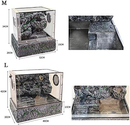 Terrarium Żółwie Tarasowe Las Deszczowy
