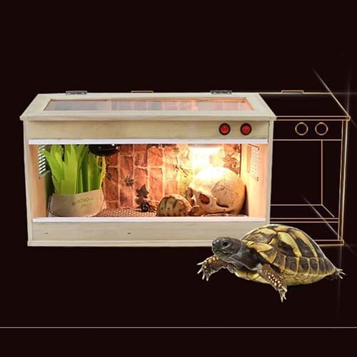 Dom Drewniany Kameleony Jaszczurki Zewnątrz