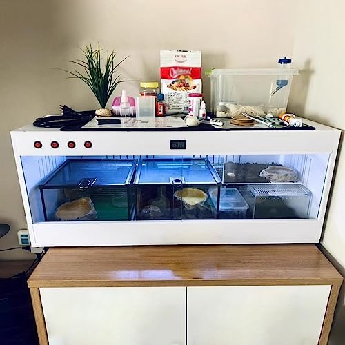 Terrarium Szklane Białe Kameleony 60cm