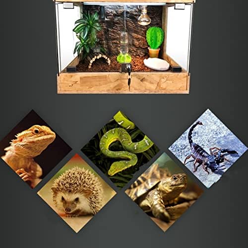 Hodowla Akrylowa Brązowa Stonogi Pająki