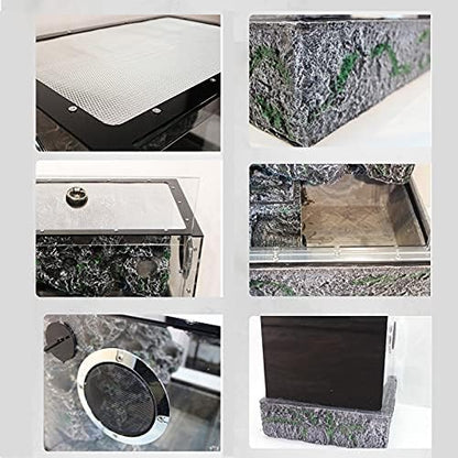 Terrarium Żółwie Tarasowe Las Deszczowy