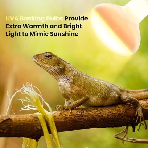 Żarówki Wygrzewające 100W E27 Ciepłe Dwie